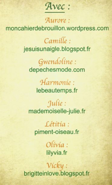 liste blogueuses  le portail bio vert framboise