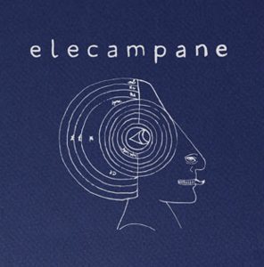 elecampane-high-hopes