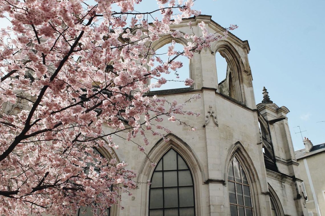 place st sauveur caen rose