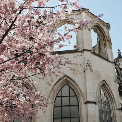 place st sauveur caen rose