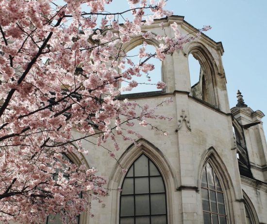 place st sauveur caen rose