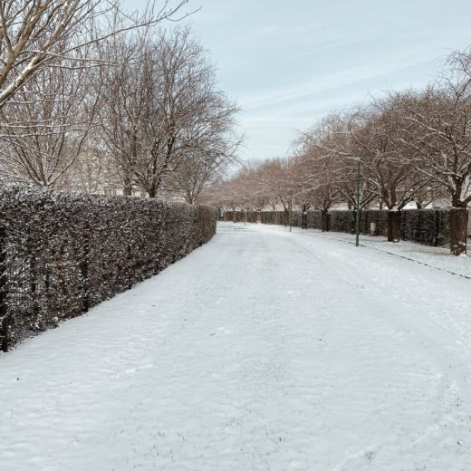 neige à Caen