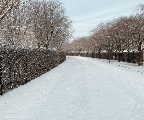 neige à Caen